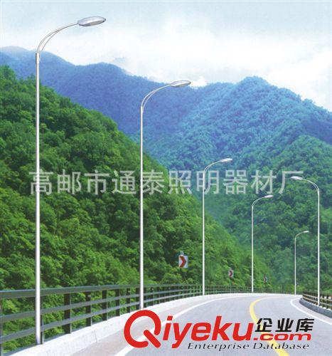 貴州省山區(qū)高速公路路燈 銅仁市路燈 揚(yáng)州戶外照明器材生產(chǎn)供應(yīng)商