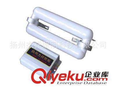 杰祥牌無極燈 高頻無極燈生產廠家 電磁感應燈 高頻無極燈整流器