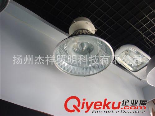 低頻無極燈 高頻無極燈 路燈 隧道燈 廠房燈 一體化無極燈原始圖片2