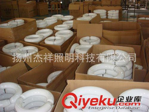 低頻無極燈 高頻無極燈 路燈 隧道燈 廠房燈 一體化無極燈原始圖片3