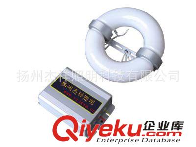 無極燈 無極燈廠家 無極燈整流器 電子鎮流器 無極燈鎮流器原始圖片3