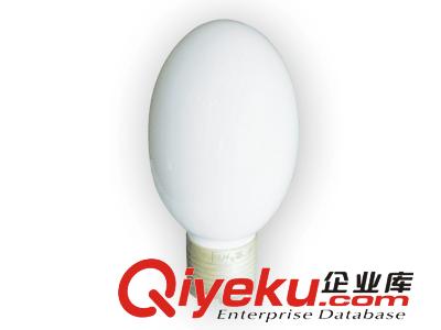 杰祥牌無極燈 高頻無極燈 大功率150W 165W無極燈原始圖片3