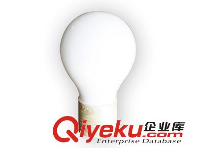 杰祥牌無極燈 高頻無極燈生產廠家 電磁感應燈 高頻無極燈整流器原始圖片3