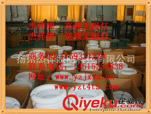 供應低頻無極燈  矩形/環(huán)形300W低頻無極燈原始圖片2