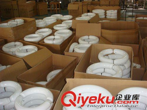 一體化23W低頻無極燈/U形低頻無極燈/E27無極燈原始圖片3