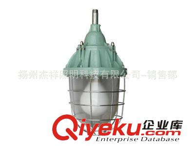 杰祥牌無極燈 120W 135W 化工廠專用防爆燈具原始圖片3