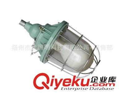 杰祥牌無極燈 一體式85W 100W 防爆無極燈原始圖片2