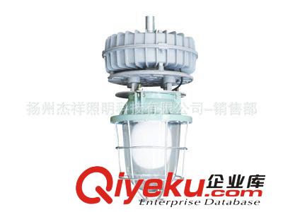 供應(yīng)無極燈工廠燈/ 防爆無極燈/ 一體化無極燈 /無極燈路燈