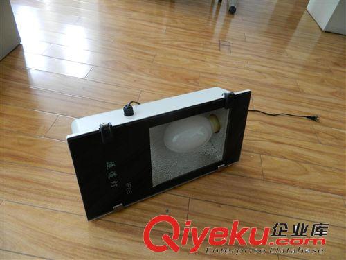 鈉燈隧道專用燈具  100w隧道燈具 無極燈隧道燈具原始圖片2