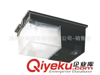 鈉燈隧道專用燈具  100w隧道燈具 無極燈隧道燈具