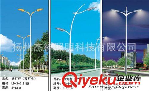 供應(yīng)路燈照明 小區(qū)道路照明 公路照明原始圖片3