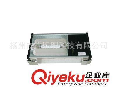 杰祥牌低頻無極燈 隧道燈燈具 鑄鋁鏡面型 100-250W低頻無極燈原始圖片2