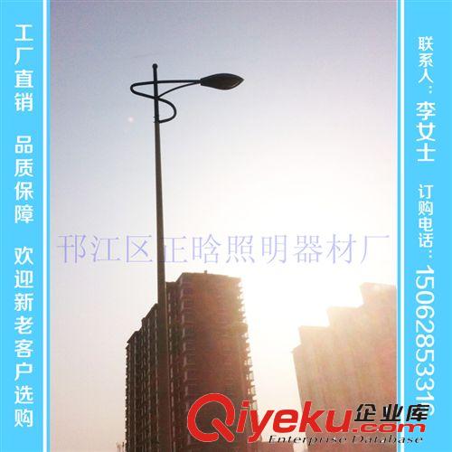 【廠家供應】 單臂太陽能路燈 太陽能道路燈 各種照明燈原始圖片2