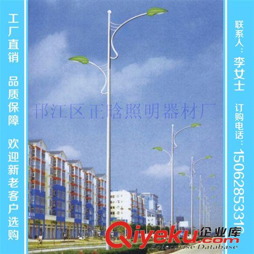 廠家供應(yīng)各類 戶外道路燈 節(jié)能路燈 高低臂道路燈可定制