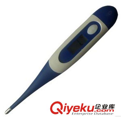 電子體溫計生產廠家 家用保健電子體溫計 保健電子禮品原始圖片2