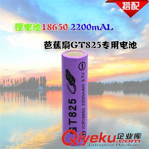 tj強(qiáng)光手電18650/14500充電器 3.7V4.2V1.2V鋰電池充電器批發(fā)