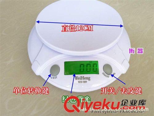 批發A-09L電子稱/買菜秤 行李秤 便攜迷你 吊鉤手提秤/WH-A09L