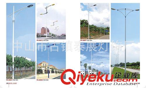 廠家直銷鄉(xiāng)鎮(zhèn)路燈