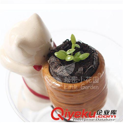 小小園藝師栽培 創意卡通桌面盆栽 DIY創意植物盆栽 園藝裝飾原始圖片2