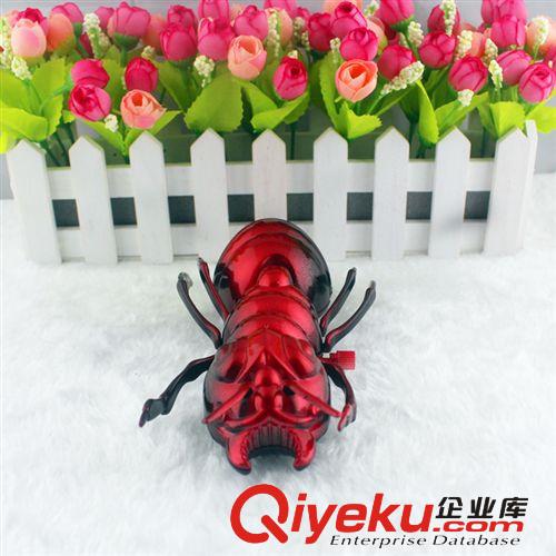 2014年新款 會(huì)搖動(dòng)的上鏈玩具魚 眼睛嘴巴尾巴都會(huì)動(dòng) 小孩子玩具