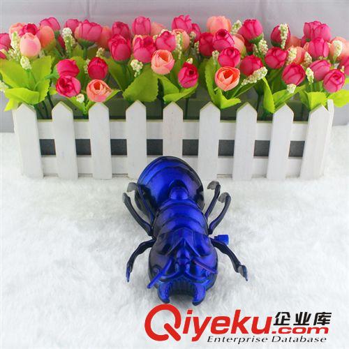 2014年新款 上鏈螞蟻 高仿螞蟻 上鏈玩具 小孩子玩具 地?cái)傌浽丛紙D片2