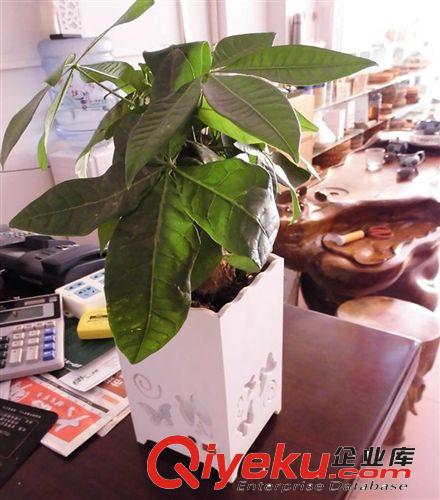 抱抱燈  個(gè)性燈  現(xiàn)代燈飾 深圳燈飾 創(chuàng)意燈飾