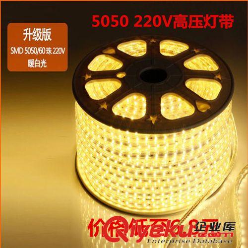 一米60珠防電防水高壓5050LED貼片燈帶 柔性 軟燈條220v廠家直銷