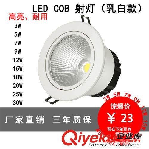 熱銷 led軌道燈 COB集成20W30W服裝商場導(dǎo)軌射燈 COB軌道燈