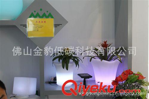 遙控可充電滾塑LED蛋形燈 兒童禮品LED蛋形燈 彩色發(fā)光LED蛋形燈