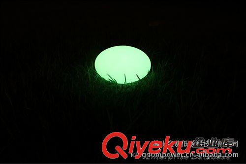 遙控可充電滾塑LED蛋形燈 兒童禮品LED蛋形燈 彩色發(fā)光LED蛋形燈原始圖片2
