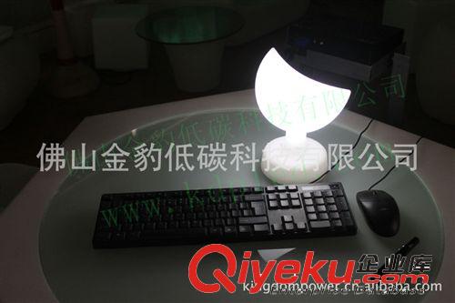 滾塑LED小夜燈 室內(nèi)裝飾臺燈 禮品臺燈 裝飾小臺燈 佛山廠家原始圖片2