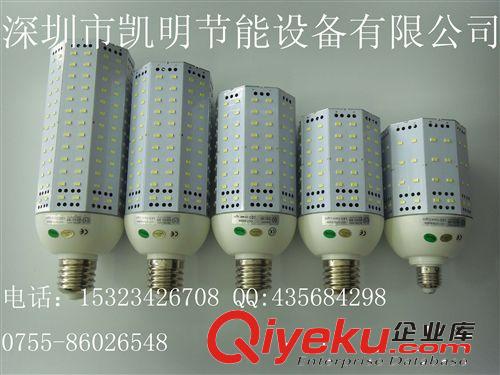 【專利產品】40W 60W 80W 100W 120W 2323貼片玉米燈原始圖片3