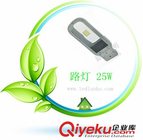 深圳LED路燈 寧波LED路燈 江蘇路燈50-6570-80LanKe50草坪燈