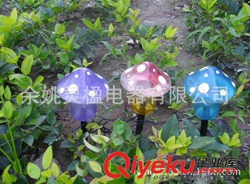 太陽能燈廠家直銷不銹鋼LED草坪燈  訂購  批發