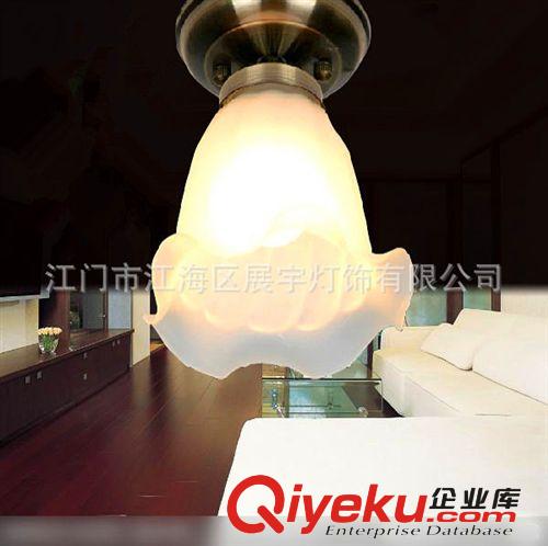 簡約歐式燈具,過道燈玄關(guān)燈,陽臺(tái)燈,臥室客廳走廊燈飾原始圖片3