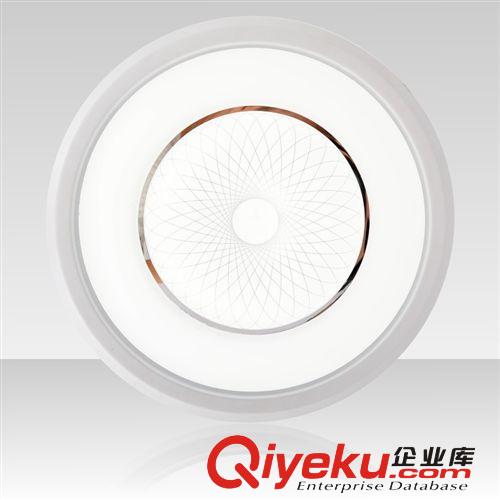 廠家直銷(xiāo)節(jié)能環(huán)保系列LED吸頂燈,現(xiàn)代簡(jiǎn)約燈具,客廳臥室燈飾8603原始圖片3