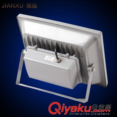 包郵10W 20W 30W 50W 70W100W LED投光燈戶外 投射燈泛光燈廣告燈原始圖片3