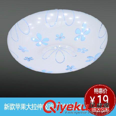 led蘋果吸頂燈 現代簡約田園臥室客廳陽臺廚衛燈飾燈具