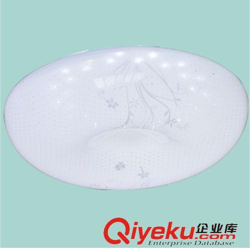 led蘋果吸頂燈 現代簡約田園臥室客廳陽臺廚衛燈飾燈具