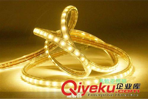 廠家直銷高亮LED燈帶 5730LED高壓防水燈帶 軟燈條 吊頂暗槽裝飾原始圖片3
