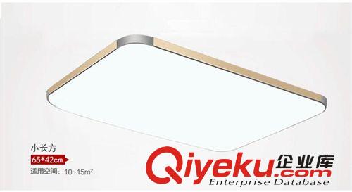 廠家直銷 LED吸頂燈 鋁材燈 客廳燈臥室燈具現代簡約燈具燈飾工程原始圖片3