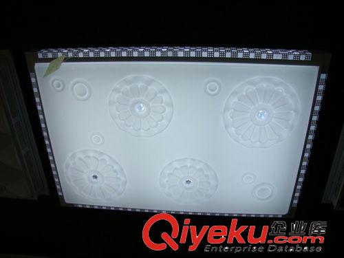 廠家直銷(xiāo) LED吸頂燈 鋁材燈 客廳燈量大從優(yōu)原始圖片2