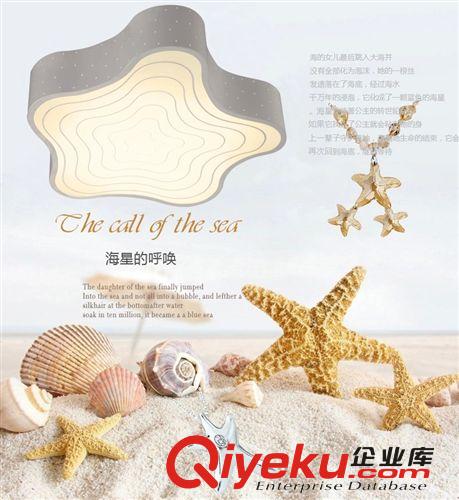 現(xiàn)代海星led吸頂燈時尚客廳燈具溫馨臥室燈書房燈兒童房燈原始圖片3