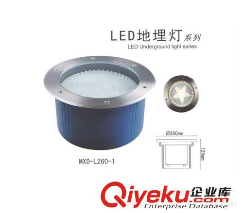 浙江廠家提供加工高品質(zhì)節(jié)能環(huán)保LED埋地燈原始圖片2