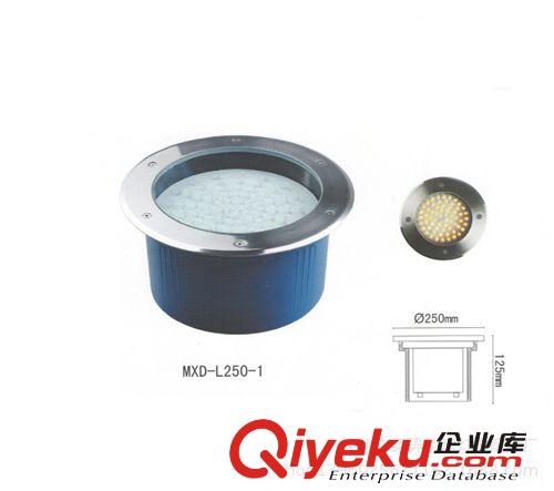 浙江廠家提供加工高品質(zhì)節(jié)能環(huán)保LED埋地?zé)粼紙D片2