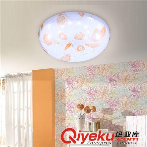 LED吸頂燈 圓形客廳吸頂燈 臥室燈具 過道燈簡約節能燈具