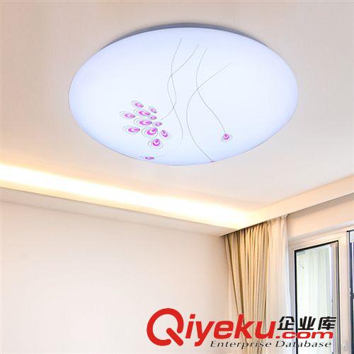 tj圓形LED客廳吸頂燈 客廳燈臥室燈飾批發廠家直銷