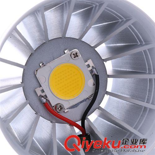 廠家生產供應高亮LED軌道燈10w20w30w服裝店專用導軌式COB射燈原始圖片3