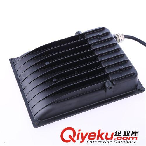 廠家直銷防水LED投光燈10W20W30W50W70W100W一體式集成泛光燈原始圖片3