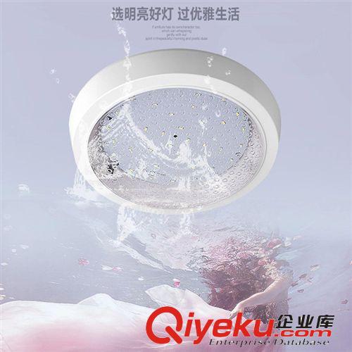 爆款led吸頂燈 臥室客廳陽臺(tái)廚房衛(wèi)生間餐廳現(xiàn)代簡約燈飾LDF008